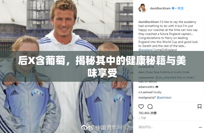 后X含葡萄，揭秘其中的健康秘籍与美味享受