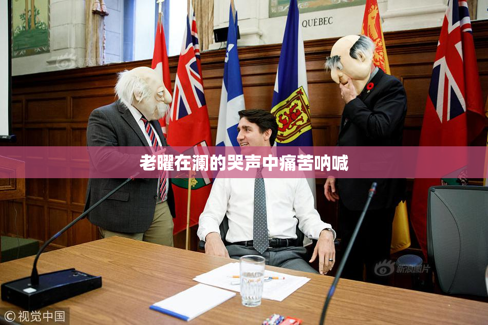 老曜在澜的哭声中痛苦呐喊