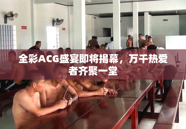 全彩ACG盛宴即将揭幕，万千热爱者齐聚一堂