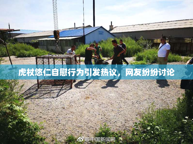 虎杖悠仁自慰行为引发热议，网友纷纷讨论