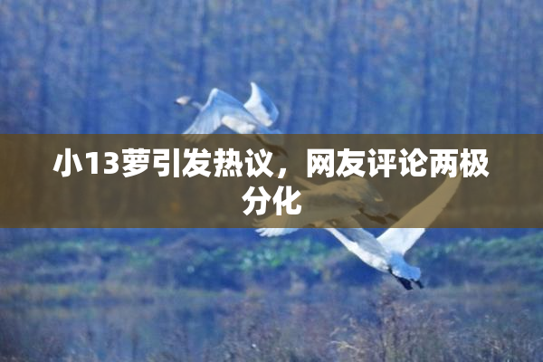 小13萝引发热议，网友评论两极分化
