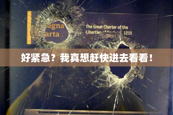 好紧急？我真想赶快进去看看！