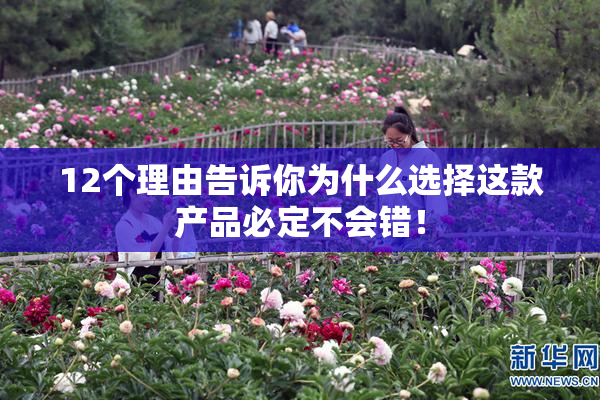 12个理由告诉你为什么选择这款产品必定不会错！