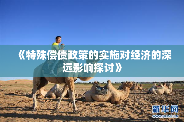 《特殊偿债政策的实施对经济的深远影响探讨》