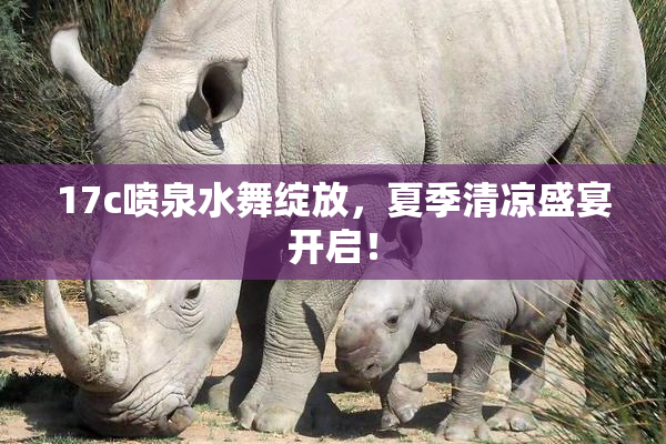 17c喷泉水舞绽放，夏季清凉盛宴开启！