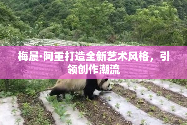 梅晨·阿重打造全新艺术风格，引领创作潮流