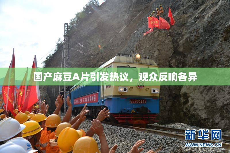 国产麻豆A片引发热议，观众反响各异