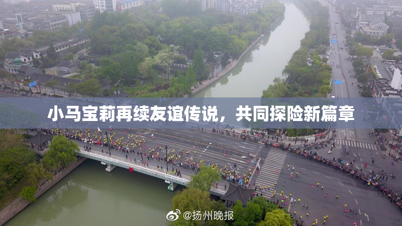 小马宝莉再续友谊传说，共同探险新篇章