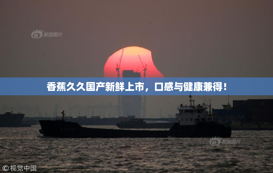 香蕉久久国产新鲜上市，口感与健康兼得！