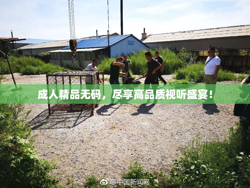 成人精品无码，尽享高品质视听盛宴！