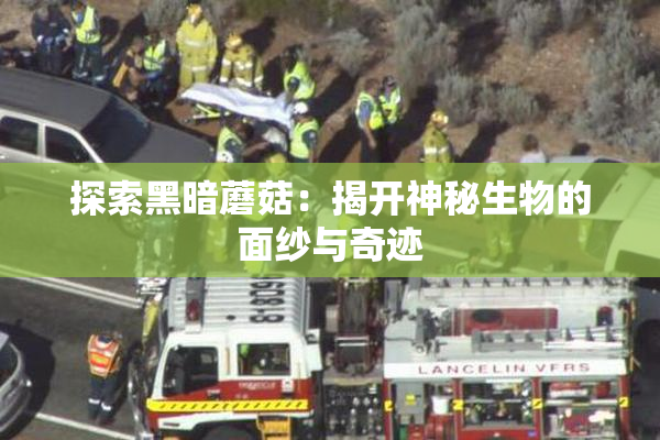 探索黑暗蘑菇：揭开神秘生物的面纱与奇迹