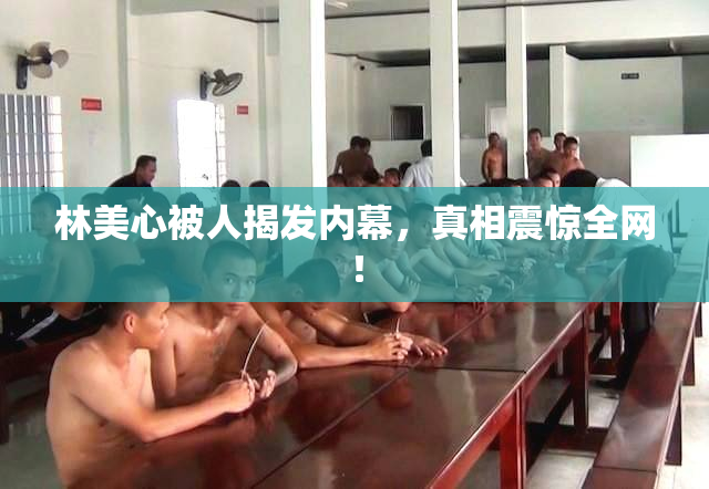林美心被人揭发内幕，真相震惊全网！