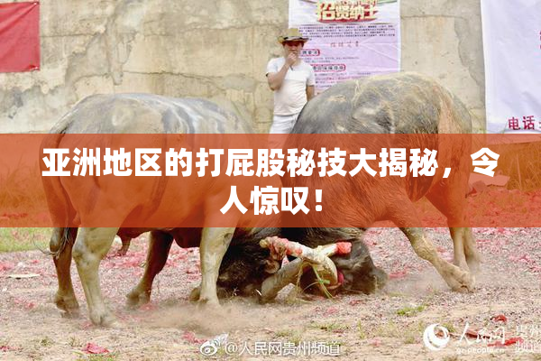 亚洲地区的打屁股秘技大揭秘，令人惊叹！