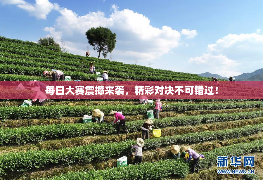 每日大赛震撼来袭，精彩对决不可错过！