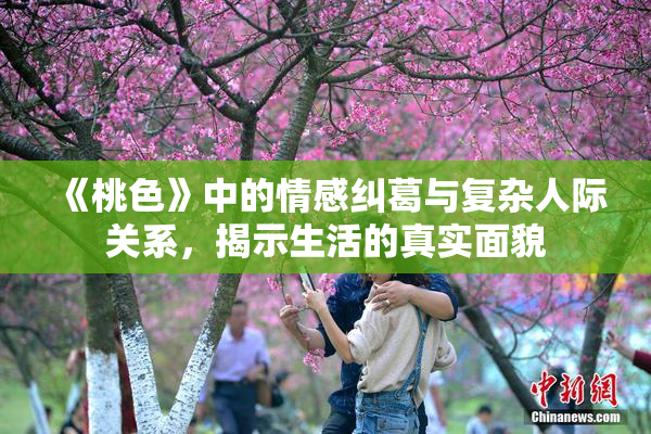 《桃色》中的情感纠葛与复杂人际关系，揭示生活的真实面貌