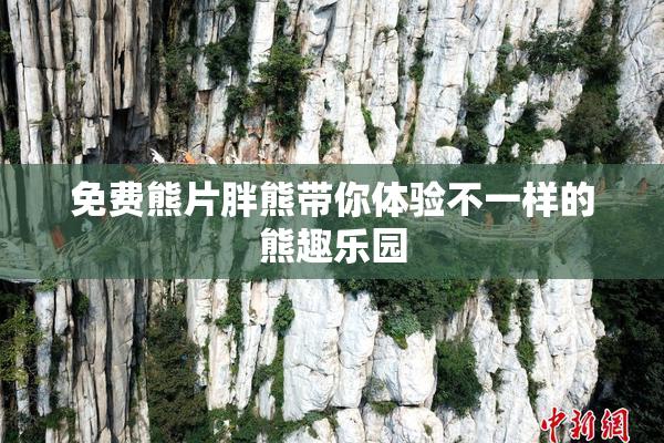 免费熊片胖熊带你体验不一样的熊趣乐园