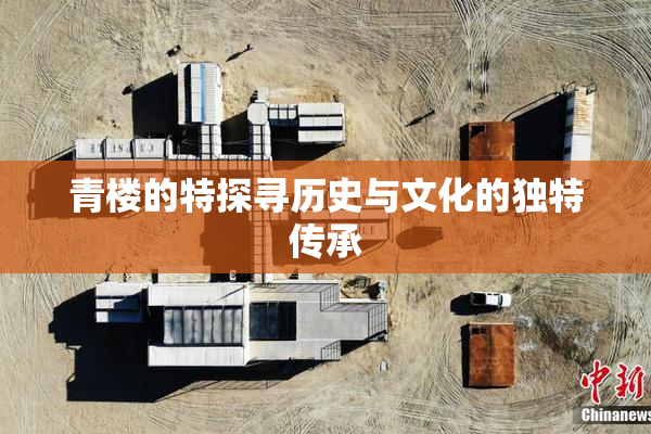 青楼的特探寻历史与文化的独特传承