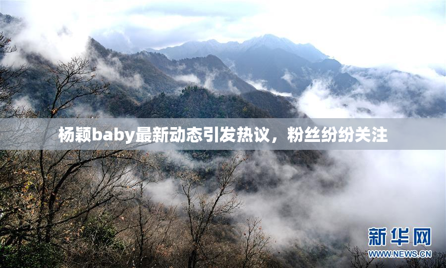 杨颖baby最新动态引发热议，粉丝纷纷关注