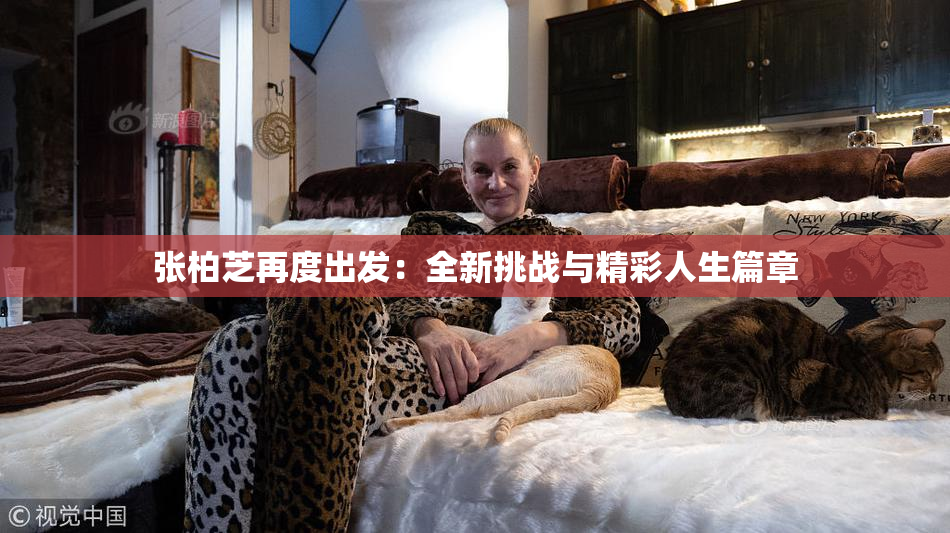 张柏芝再度出发：全新挑战与精彩人生篇章