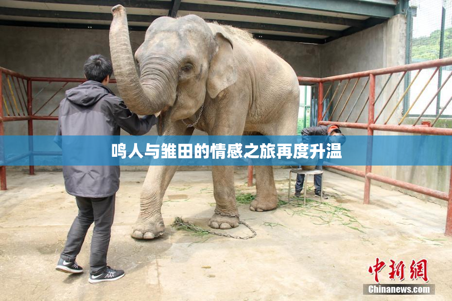 鸣人与雏田的情感之旅再度升温
