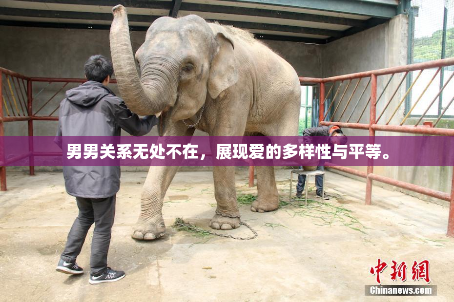 男男关系无处不在，展现爱的多样性与平等。