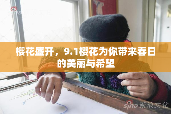 樱花盛开，9.1樱花为你带来春日的美丽与希望