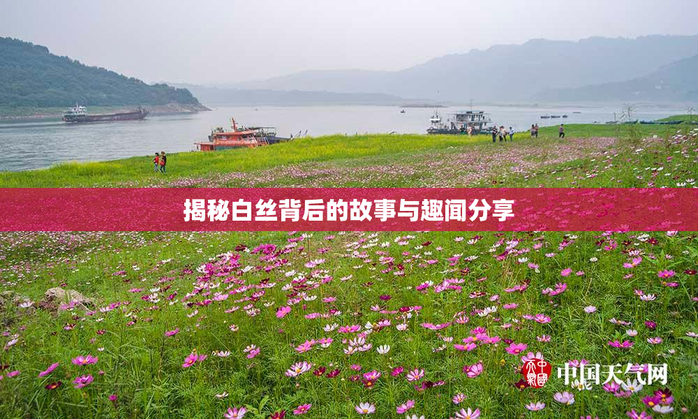揭秘白丝背后的故事与趣闻分享