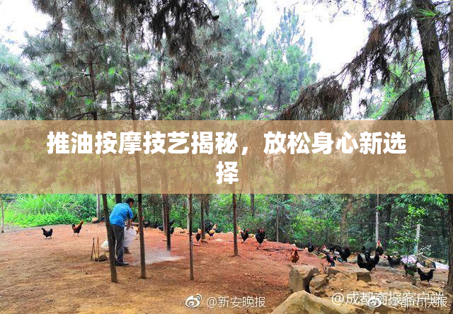 推油按摩技艺揭秘，放松身心新选择