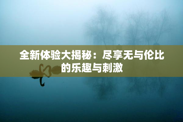 全新体验大揭秘：尽享无与伦比的乐趣与刺激