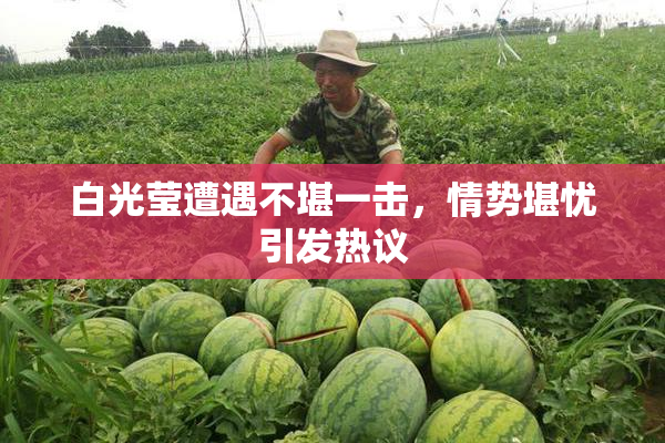 白光莹遭遇不堪一击，情势堪忧引发热议