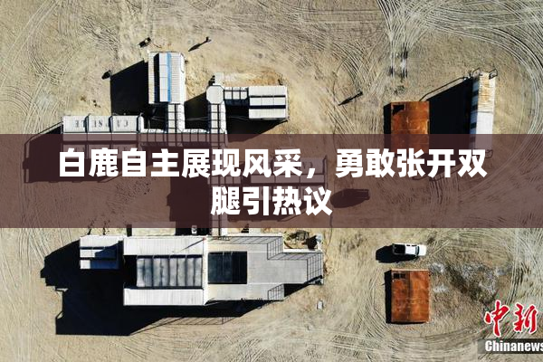 白鹿自主展现风采，勇敢张开双腿引热议