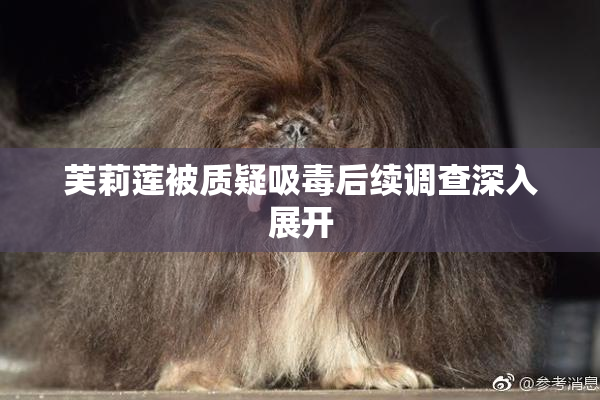芙莉莲被质疑吸毒后续调查深入展开