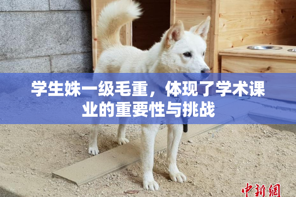 学生姝一级毛重，体现了学术课业的重要性与挑战