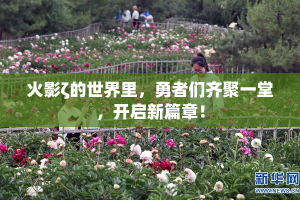 火影ζ的世界里，勇者们齐聚一堂，开启新篇章！