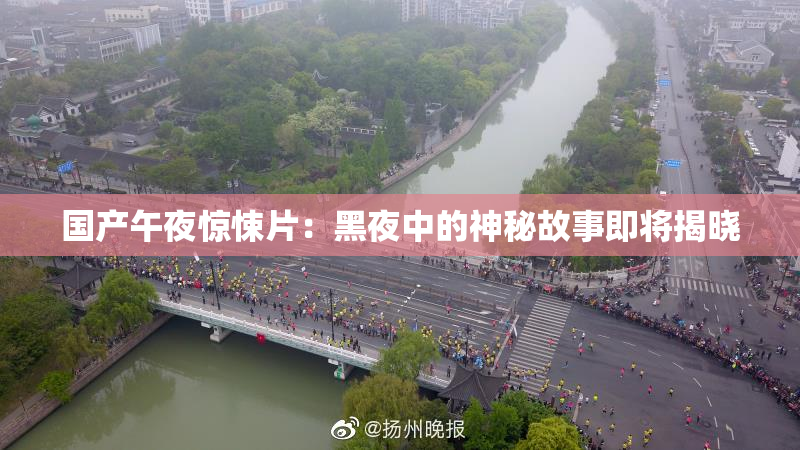 国产午夜惊悚片：黑夜中的神秘故事即将揭晓