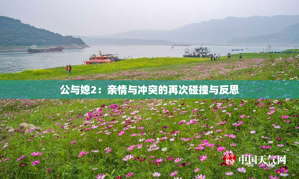 公与媳2：亲情与冲突的再次碰撞与反思