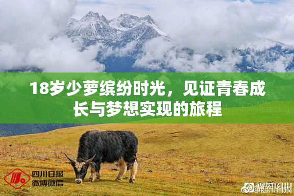 18岁少萝缤纷时光，见证青春成长与梦想实现的旅程