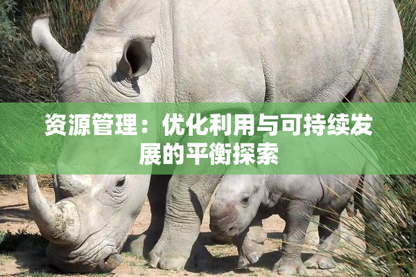 资源管理：优化利用与可持续发展的平衡探索