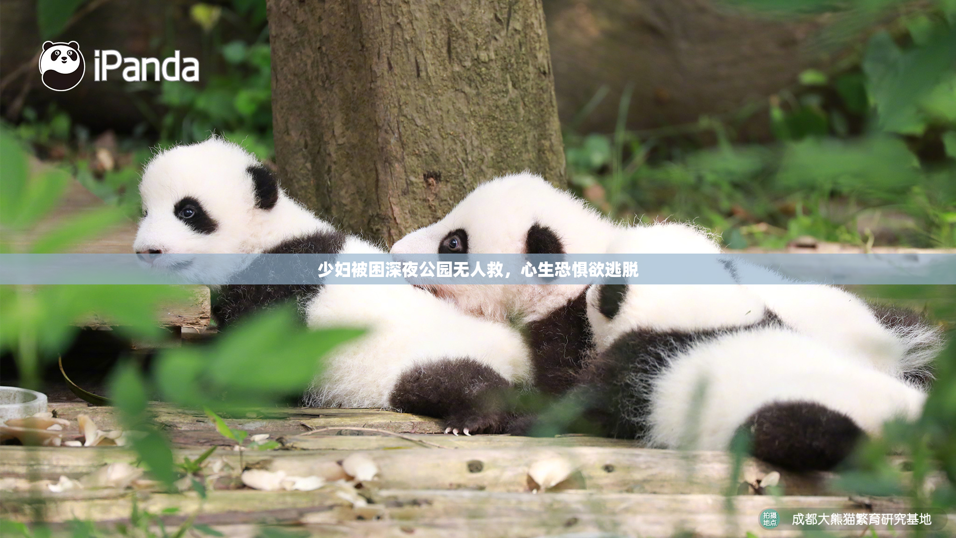 少妇被困深夜公园无人救，心生恐惧欲逃脱