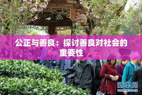 公正与善良：探讨善良对社会的重要性