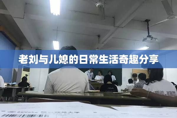老刘与儿媳的日常生活奇趣分享