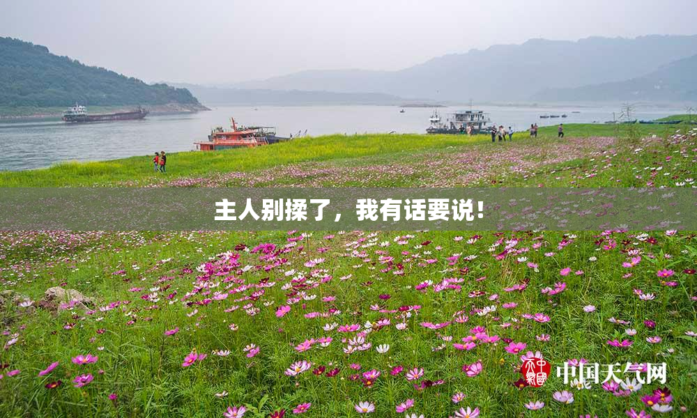 主人别揉了，我有话要说！