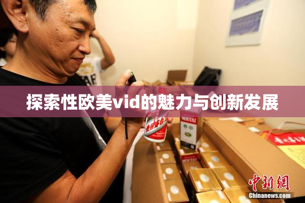 探索性欧美vid的魅力与创新发展
