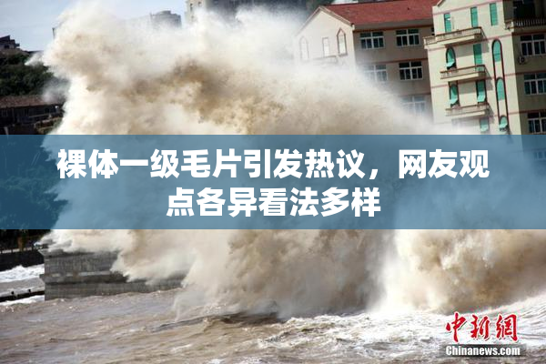 裸体一级毛片引发热议，网友观点各异看法多样