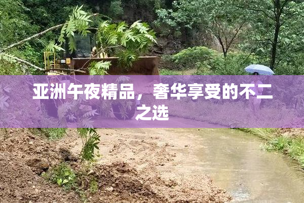亚洲午夜精品，奢华享受的不二之选