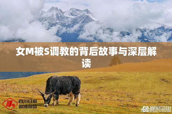 女M被S调教的背后故事与深层解读