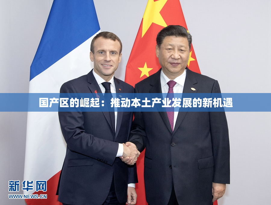 国产区的崛起：推动本土产业发展的新机遇