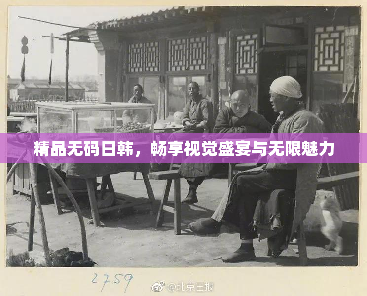 精品无码日韩，畅享视觉盛宴与无限魅力