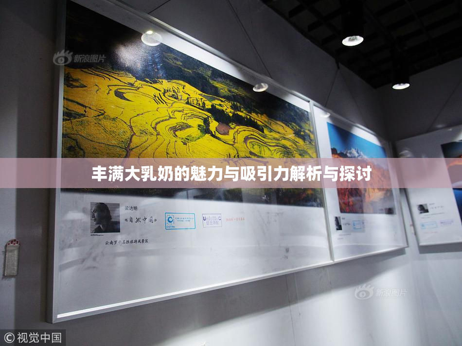丰满大乳奶的魅力与吸引力解析与探讨
