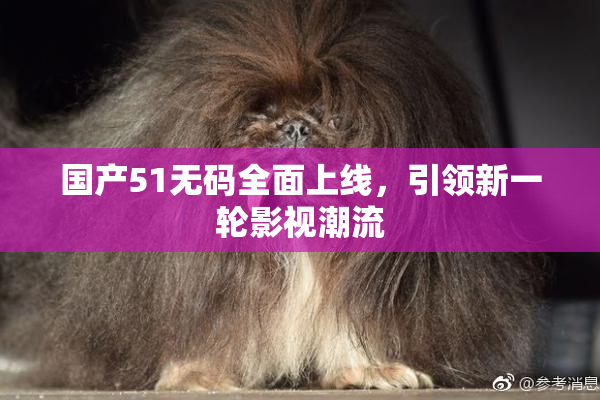 国产51无码全面上线，引领新一轮影视潮流